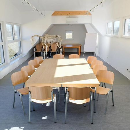 Equiliber Reitkunstzentrum Burgenland Wulkaprodersdorf Esterno foto