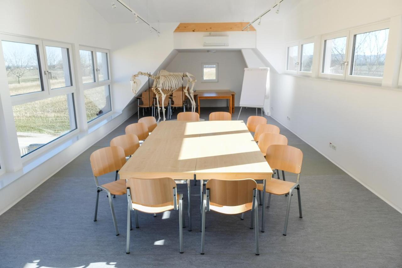 Equiliber Reitkunstzentrum Burgenland Wulkaprodersdorf Esterno foto